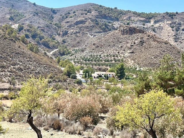 Panoramic view across the rural land surrounding Cortijo del Pozo